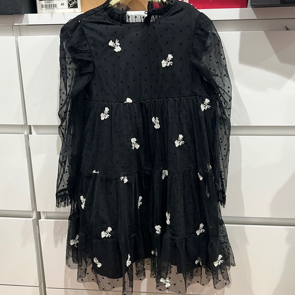 Zara Swiss Embroidery Dress